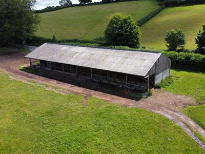 Cattle Shed